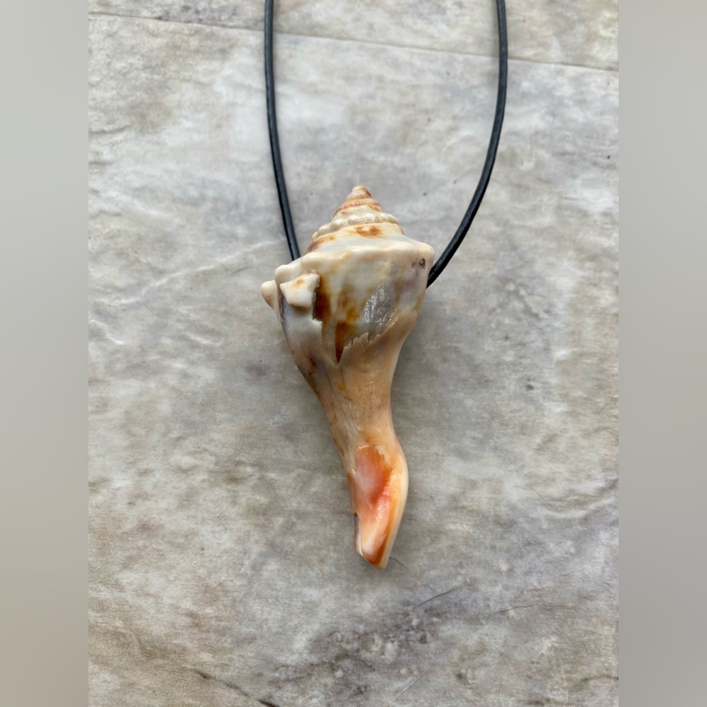 Seashell Pendant Necklace